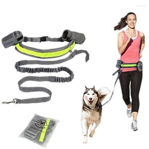 Dog Collars Jogging Walking Pet Lead Belt With Pouch Bags Hand Free Elastic Puppy Leash Adjustable Padded Waist Reflective Running on Sale