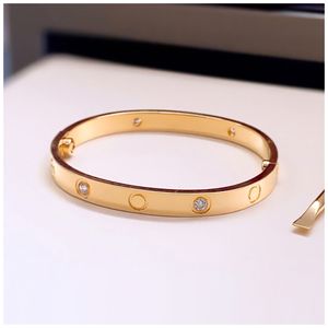 Nail Bracelets Carti Bracelet Screw Diamond Bangle Silver Braclets Armband New Bangles Designer Braclet Pulsera Dia Del Padre Bracciale Oro Bianco Bracciali