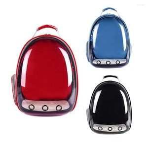 Trasportini per gatti Trasparente Pet Dog Kitty Puppy Zaino Carrier Borsa da viaggio all'aperto