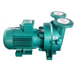 2BV Series Water Ring Industrial Vacuum Pump 304 Gjutjärn Impeller Rostfritt stål Kontakta oss för köp