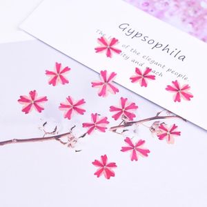 Flores decorativas 12pcs/bolsa beleza cereja seca flor com gravação presa