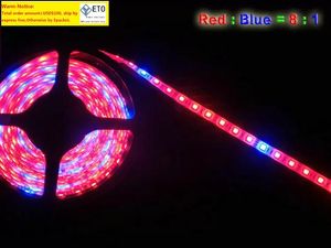 Wholesale5m 5050 DC12V LED Strip plant grow lights Red Blue for greenhouse Hydroponic plant Growing