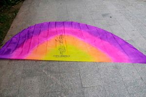 Sahne Wear 2022 Tasarım Gerçek İpek Göbek Dans Peçe Yarı Direktif Toptan 250 114cm Sarı Turuncu Gül Mor