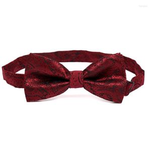 Fliege Marke Krawatte Wein Rot Paisley Jacquard Weben männer Bowtie Mode Für Männer Cocktail Salon Schmetterling Knoten Geschenk Box