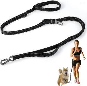 Hundhalsar 8ft Hands Free Treh For Medium Large Dogs 6 i 1 midja justerbar bungee nylon dubbelhandtagstr￤ning PL060