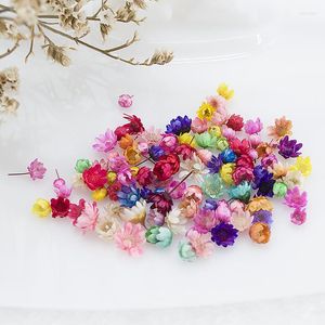 Decorative Flowers 600pcs Dried Head Dry Daisy Plants For Epoxy Resin Pendant Necklace Jewelry Making Craft DIY Nail Art Accessories