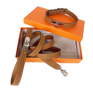 Designer Dog Collars Leashes Set Classic Luxury Padded Cowhide Dogs Collar with Adjustable Rust-Proof Metal Buckle for Small Dogs Brown S B161