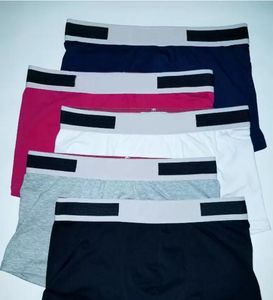 2023 Designers Märke Mens Boxer Män underbyxor kort för man underpant Sexig underkläder manliga boxare bomull underkläder shorts 3 -stycken kommer med box11