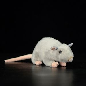 Plyschdockor 17 Långt mjukt verkligt liv Small Grey Rat Mouse Toy Life Möss fyllda djur leksaker gåvor till barn husdjur 221203