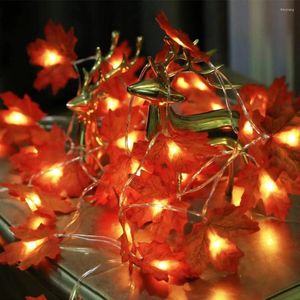 Weihnachtsdekorationen, fröhliches Erntedankfest, Geschenk, Lichterkette für Zuhause und Küche, LED-Lampe, Kamin, Party, Bankett