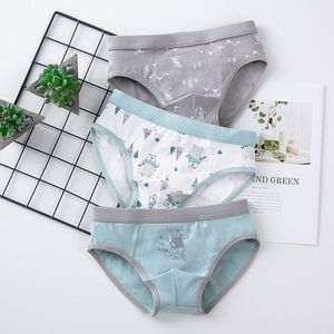 Panties Boys Soft Boxers Back To School Clothes Cute Briefs for Teenage Kids Thong Underwear Cotton Underpants Children Shorts 221205
