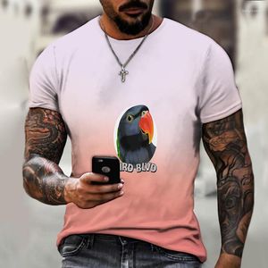 T-shirt da uomo T-shirt O-collo stampata in 3D Leggera oversize Pappagallo pirata Pet Summer Style Super Cool Stuff