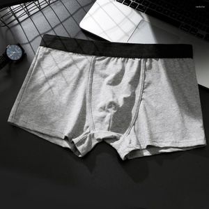 Underpants męscy chłopcy bielizny seksowne miękkie penis bokserki bokserki bawełniane oddychające majtki