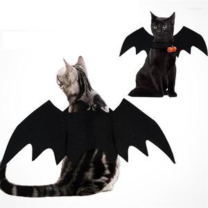 Trajes de gato Ecomhunt roupas de batedor asas de morcego de cachorro Fantas figurinos de cães Pets Cosplay Prop Halloween Party Pet Products