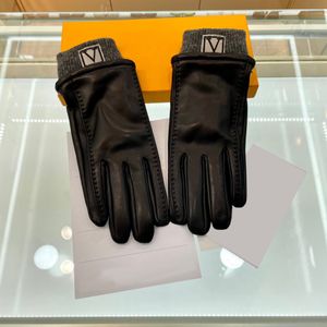 Fünf Finger Handschuhe Designer Männer Schaffell Leder Handschuhe Weiche Bequeme Leder Handschuh Outdoor Damen Warme Fäustlinge Mit Box