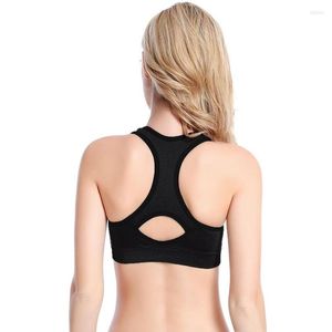 Wholesale Yoga Outfit Ladies Seamless Sports Bra High Impact Padded Top For Fitness Women Nylon Active Wear Gym Jogging Bodybuilding Athletic