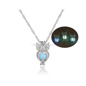 Lockets Glow In The Dark Owl Necklace Hollow Pearl Cages Pendant Luminous Animal Charm Necklaces For Women Ladies Luxury Fashion Jew Dhqwj