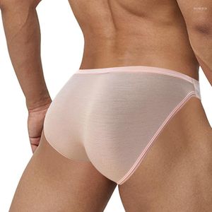 Underbyxor modala män underkläder kort u konvex sexiga gay män trosor trosor bekväm penispåse slip hombre cuecas droppe