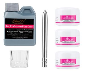Portable Nail Art Set Kit Acrylic Liquid Powder st Nail Art Pen Clear Glass Dappen Dish Manicure Tools Set6392906