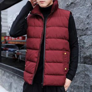 Gilet da uomo Gilet semplice Giacca trapuntata a righe Comodo colletto alla coreana autunnale invernale Gilet imbottito in cotone maschile