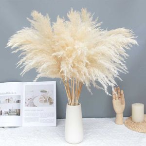 10/20 st Cream Grass Fluffig Torkad Pampas ation Naturliga Blommor Bukett Boho Inredning Alla hjärtans dag Gif 1208