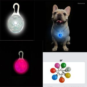 Copertini per seggiolini per auto per cani collare per gatto clip di sicurezza notturna di gatto luminosa impermeabile a LED lampeggiante