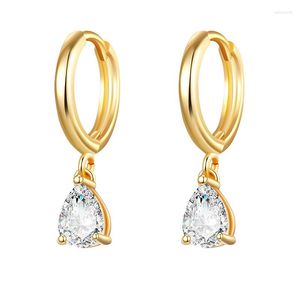 Hoop Earrings Trendy Zircon Small Circle Hoops Earring Cute Round Heart Crystal Hanging For Women Gold Color Metal Huggies Jewelry