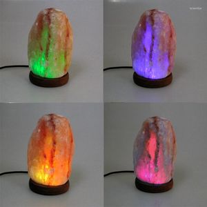Nachtlichten Hand gesneden USB houten basis Himalayan Rock Salt Lamp Air Purifier Light