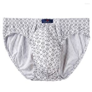 Underbyxor plus storlek elastiska m￤n glider cueca homme manliga trosor trosor andningsbara underkl￤der bomulls hombre calzoncillos