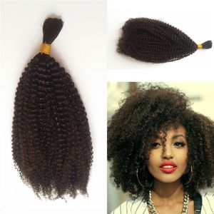 4b 4c Bulk Human Hair for Braiding Peruvian Afro Kinky Curly Bulk Hair Extensions No Attachment FDSHINE2457