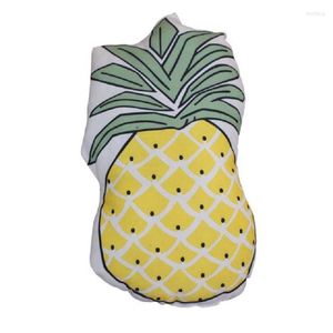 Poduszka 3D Creative Pineapple Cactus Decor Home Sofa biuro drzemka osobowość owoc