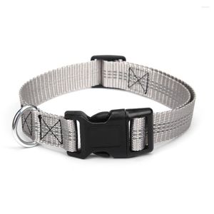 Collari per cani Collare in nylon resistente Forniture personalizzate regolabili Cucciolo Piccolo Medio Grande Moda Accessori per animali domestici personalizzati