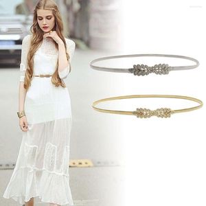 Belts Fashion Elegant Stretch Casual Ladies Dress Cummerbands Thin Skinny Waistband Belly Waist Band Metal Elastic Belt