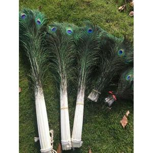 Wholesale 200pcs/lot 10-17.7inch/25-45cm beautiful High quality natural peacock feathers eyes for DIY clothes decoration Wedding