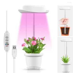 Whod Lights Ftoyin LED Light Pełne spektrum ładunek USB Phytolamp dla roślin Dmming Timing Plant Flower Siew warzywny