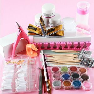Nail Art Kits Acrylic Set 12 Colors Glitter Powder Pen Brush Tool Kit Manicure For Beginners TSLM2