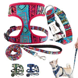 Hundehalsbänder, Leinen, personalisiertes Hundehalsband, Leine, Geschirr-Set, Mesh-Nylon, Haustierweste, Führseil, kostenlose Gravur, Hunde-ID-Halsbänder für kleine große Hunde, T221212