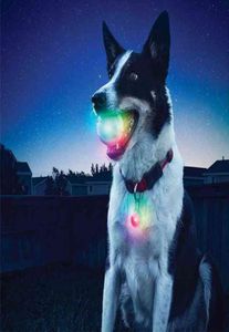 Водонепроницаемая игрушка для любимой собаки резиновый мяч светодиодный светодиодные световые световые световые световые световые световые световые светодиоды играет щенка Pitbull Pet поставляется с домашними животными, тренируясь, жевание мяч L2206215395188