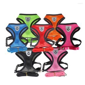 Dog Collars 10PC Lot Pet Harness Leash Adjustable Breathable Cat Vest Lead For Chihuahua Small Large Dogs