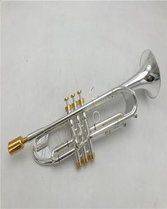 Baja Trumpet Instrument de haute qualité LT190S77 réduit le bouton B Gilt pour jouer à la trompette Bell7785943