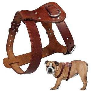 犬の襟の綱は本物の革犬ハーネス茶色の本物の革犬ウォーキングトレーニングベスト調整可能なストラップミディアム大きなピットブルボクサーマスティフT221212