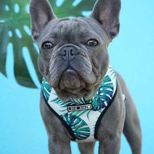 Dog Collars Leashes Pug Small Harness No Pull Vest for Medium s Breathable Pets Puppy French Bulldog Leash Set T221212