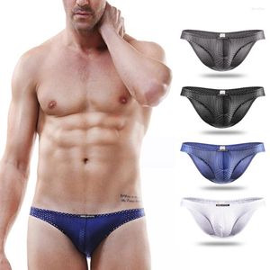 Underpants Summer Mens Underwear Breathable Mesh Briefs For Men Calzoncillos Hombre Modal Male Man Pouch Brief L-3XL