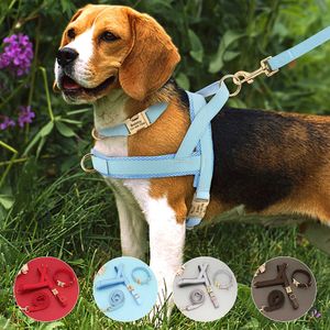 Dog Collars Leashes Personalized Dog ID Collar Leash Harness Anti-lost Dogs Buckle Collars Nylon Vest Walking Rope For Small Large Dogs Pitbull T221212