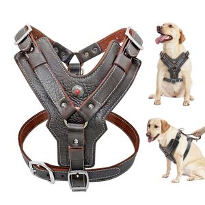 Hundhalsar Leases Hållbar hund Harness stora hundar äkta lädernätar Pet Training Vest med snabbt kontrollhandtag för Labrador Pitbull T221212