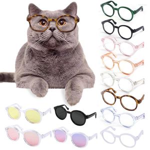 Vestuário para cães pet copos fofos de plástico gato de sol personalidade de pelúcio de pelúcia engraçada vestido de suprimentos acessórios de decoração de suprimentos