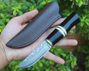 Specialerbjudande avancerad överlevnad Rak kniv VG10 Damascus stål Drop Point Blade Ebony Horn mässing Huvudhandtag Fasta blad Knivar med läderhölje