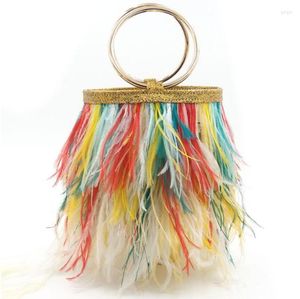 Bolsas de noite, avestruz penas bolsa de balde feminino tástel bolsa de luxo bolsas de peles designer de moda festeira embreagem de cadeia de ombro casamento