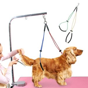 Collari per cani Guinzagli Pet Dog Cat Grooming Loop Tavolo Braccio Corpo Cappio Supporto Corda di ritenuta Imbracatura per cani Gatti Grooming Formazione in piedi T221212