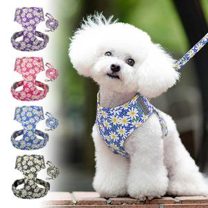 Collari per cani Guinzagli Nylon stampato Maglia Pettorina per cani Pet No Pull Guinzaglio per piccoli cuccioli Cat Guinzaglio Set per Chihuahua Yorkshire Gilet riflettente imbottito morbido T221212